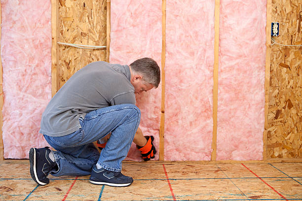Best Commercial Insulation in Homerville, GA