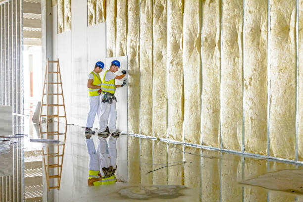Best Insulation Installation Services in Homerville, GA